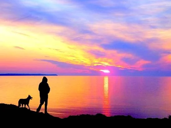 A walker and dog overlooking Cornborough Cliffs towards Lundy