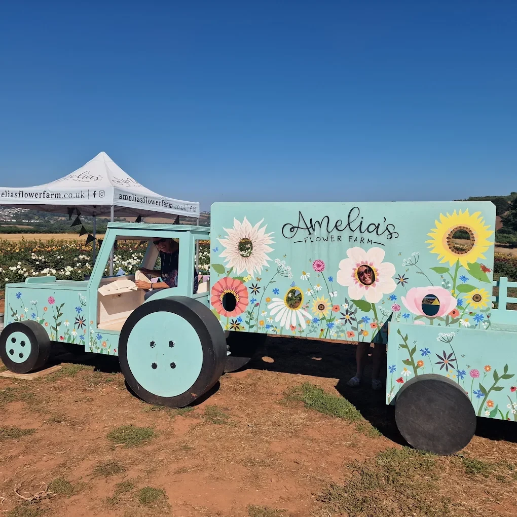 Mint-green tractor and floral photo board at Amelia’s Flower Farm on a sunny day