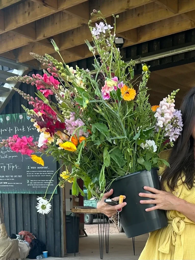 A visitor holding a black bucket filled with tall pink, white, purple and orange flowers