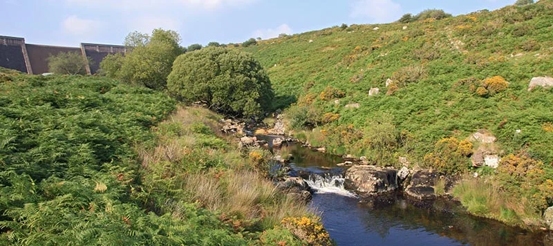 The River Avon with Avon Dam beyond the open valley