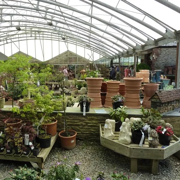 Plants and terracotta pots inside the garden centre glasshouse