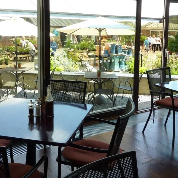 Café tables beside windows looking out towards garden-centre plants