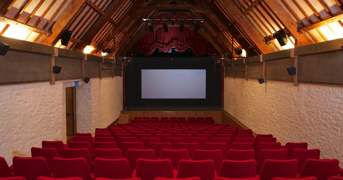 The screen and timber roof seen from the rear of the Barn Cinema