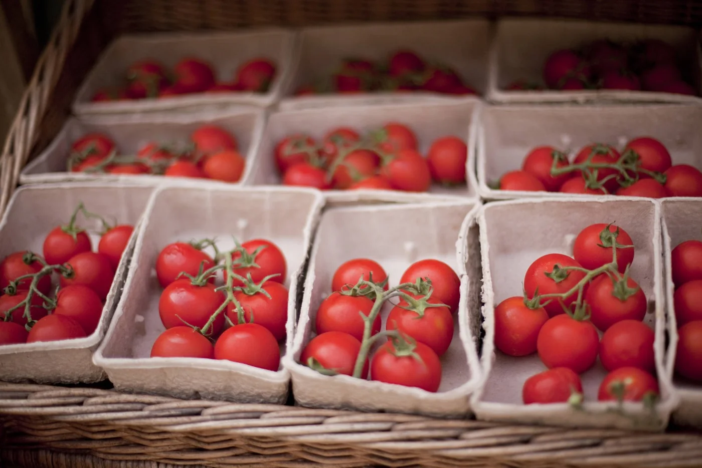 Boxes of ripe tomatoes at Ben’s Farm Shop