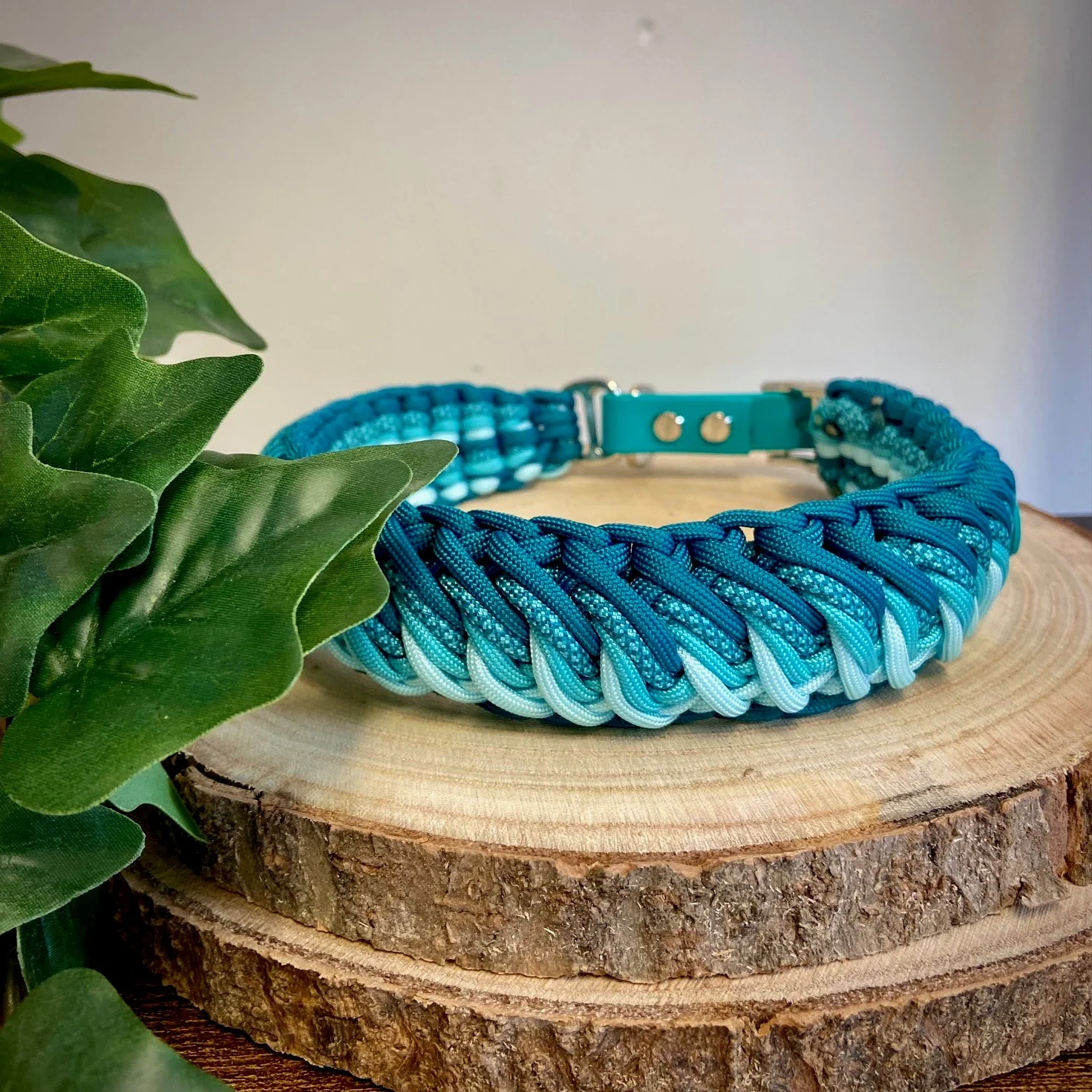 A blue and turquoise Big Green Hound collar