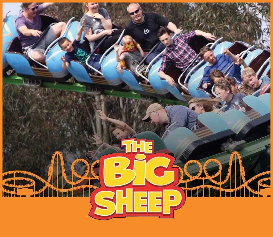 Visitors riding a rollercoaster at The BIG Sheep