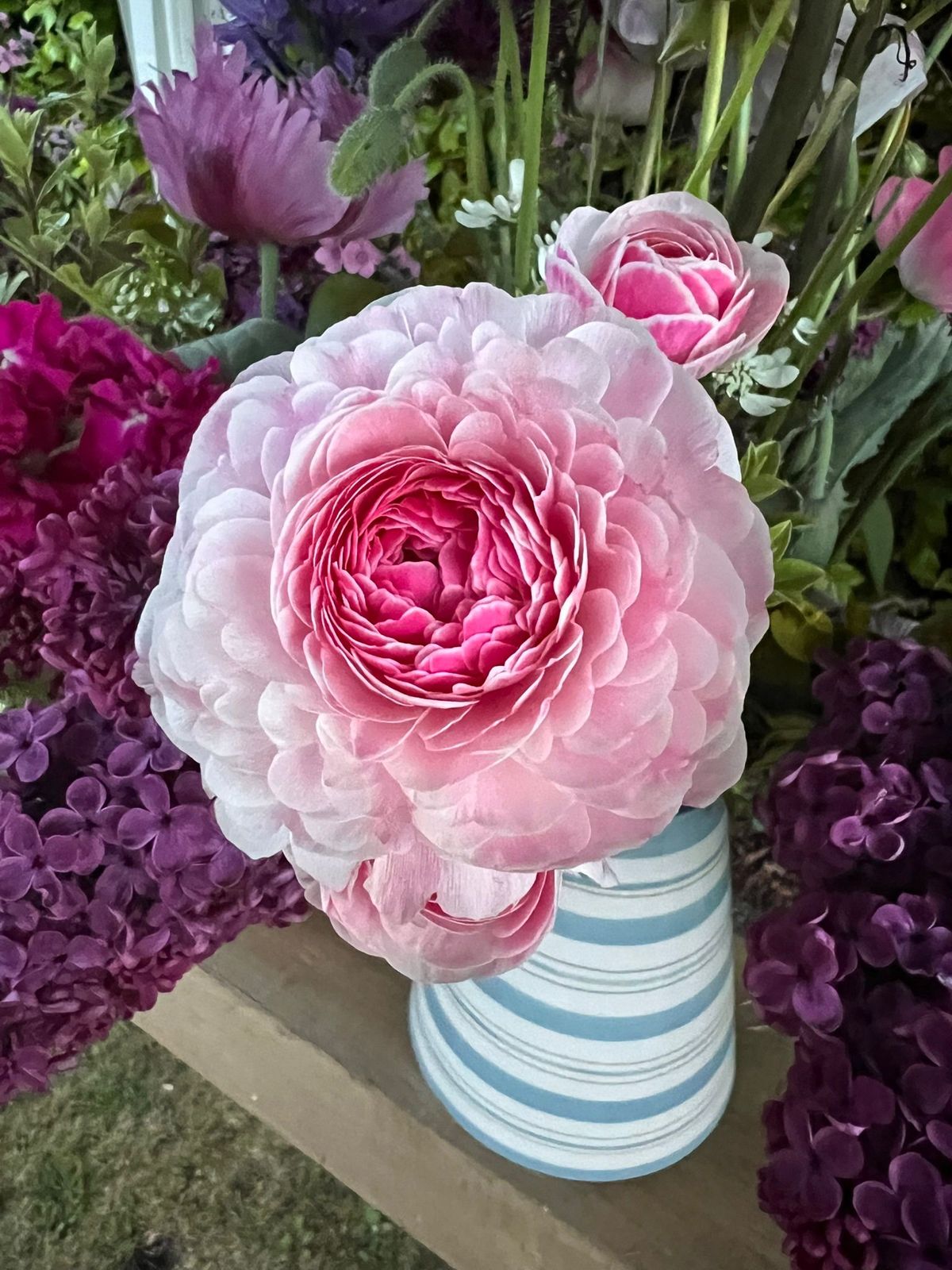 A pink garden rose and seasonal flowers arranged in a striped vase