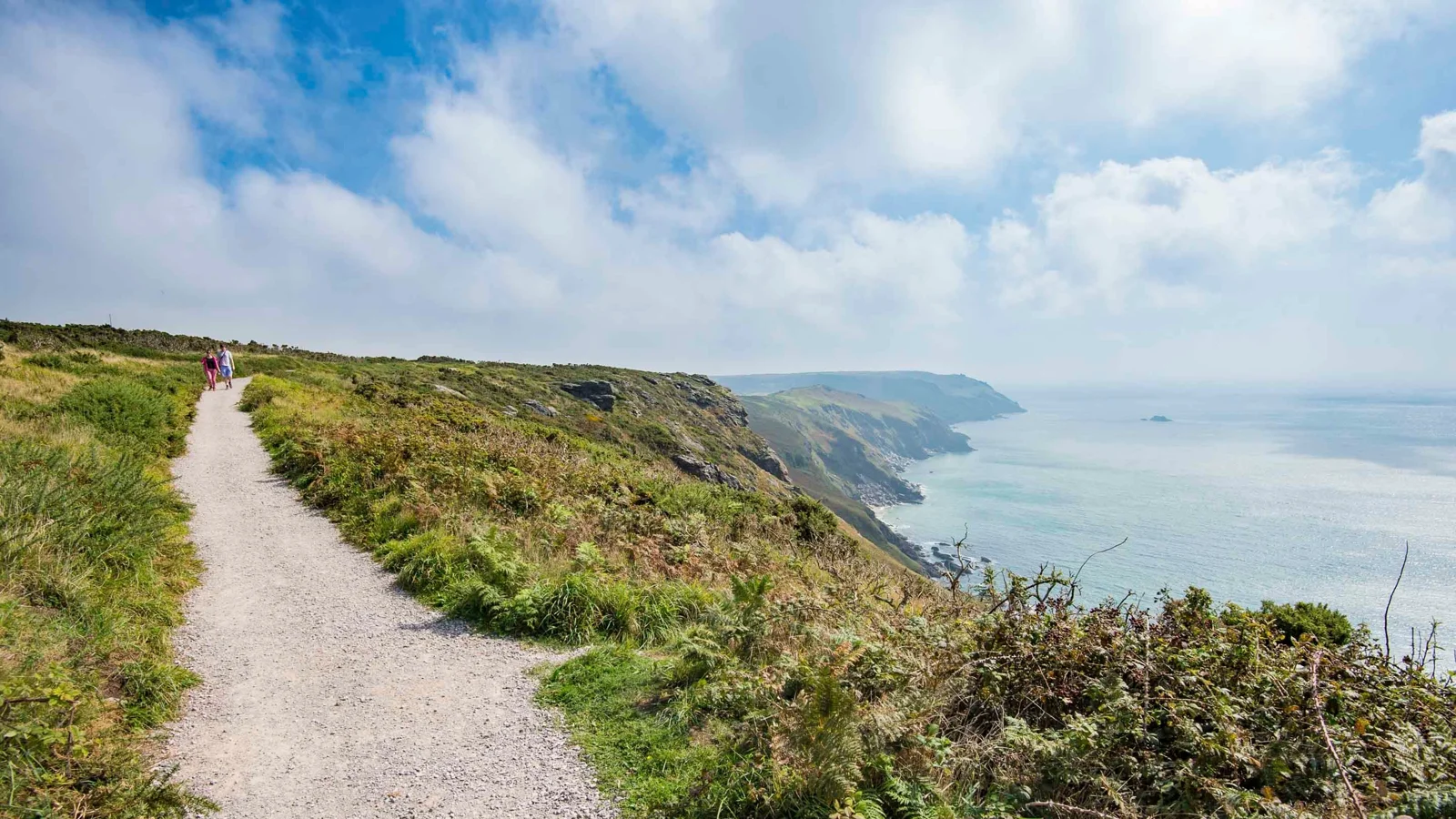 Surfaced path beside gorse with wide views along the coast