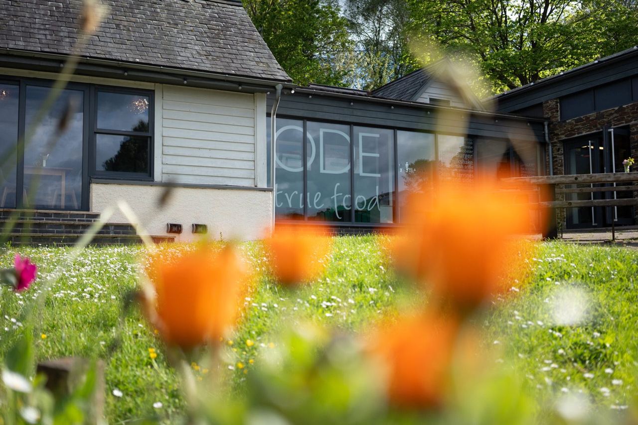 Orange flowers outside the converted stable buildings at cafe ODE