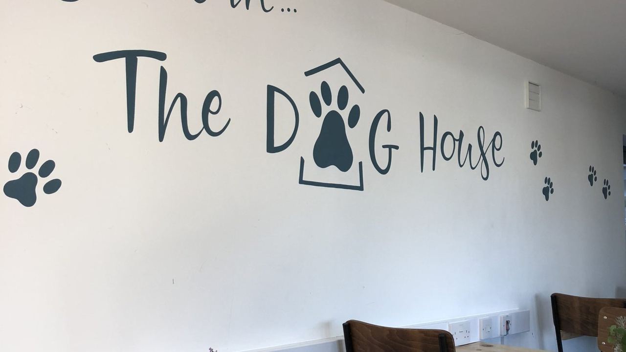 The Dog House seating area at cafe ODE