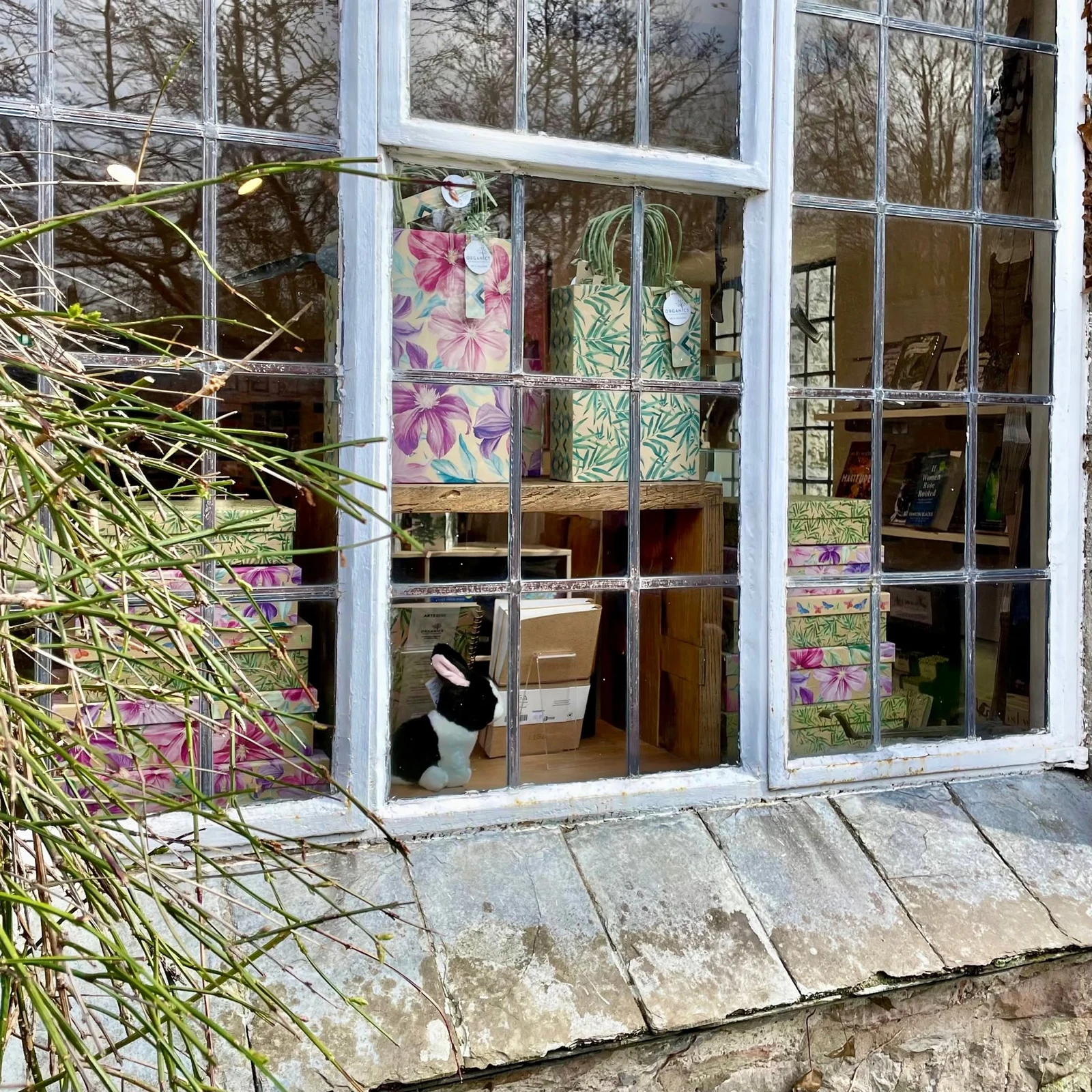 Floral gift bags, books and stationery in a shop window at the Cider Press Centre