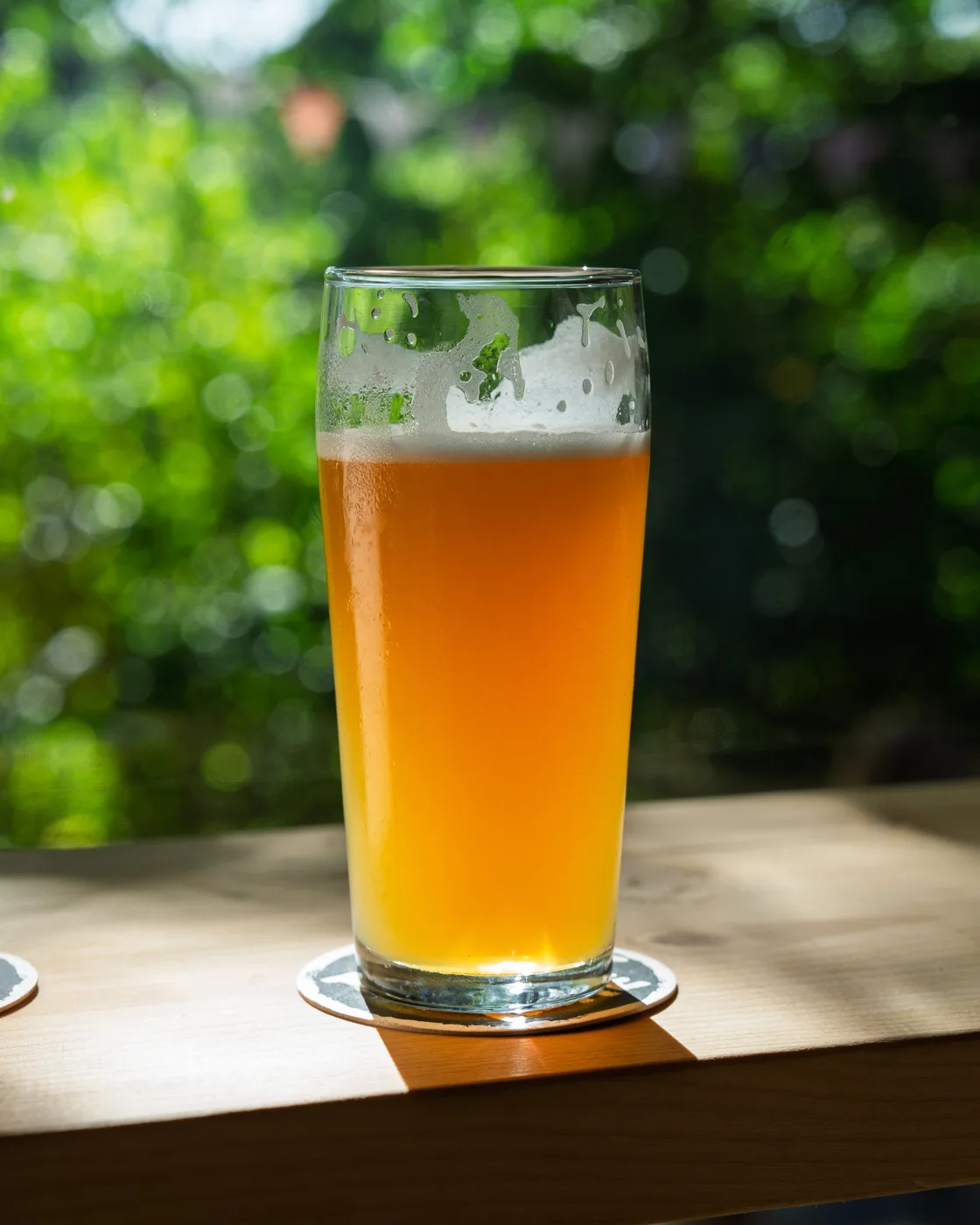 A pint beside a leafy window at CLASH Taproom