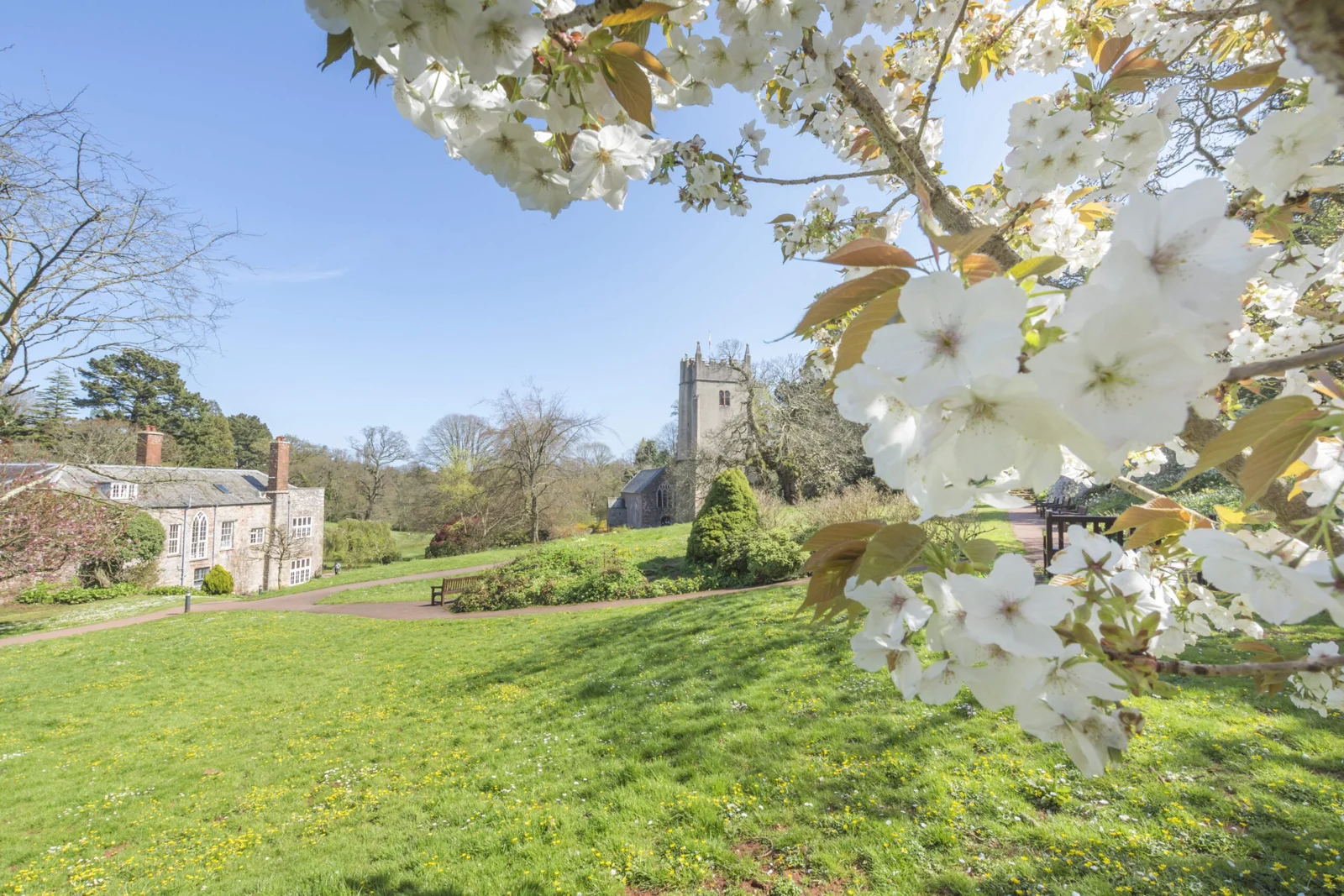 Spring blossom beside the church and gardens at Cockington