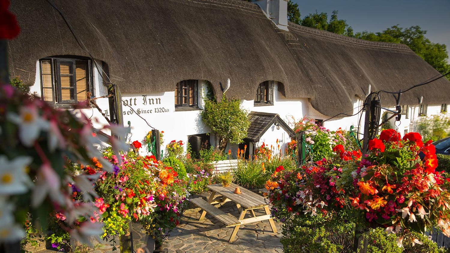 Flower-filled garden in front of The Cott Inn’s thatched whitewashed building