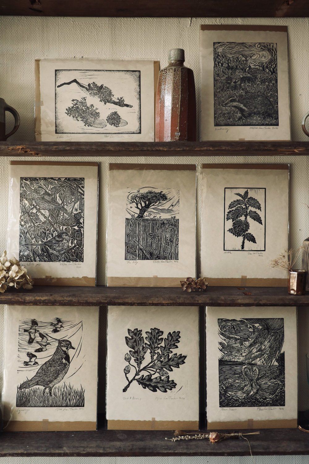 Nature-inspired prints on wooden shelves at Craftmongers