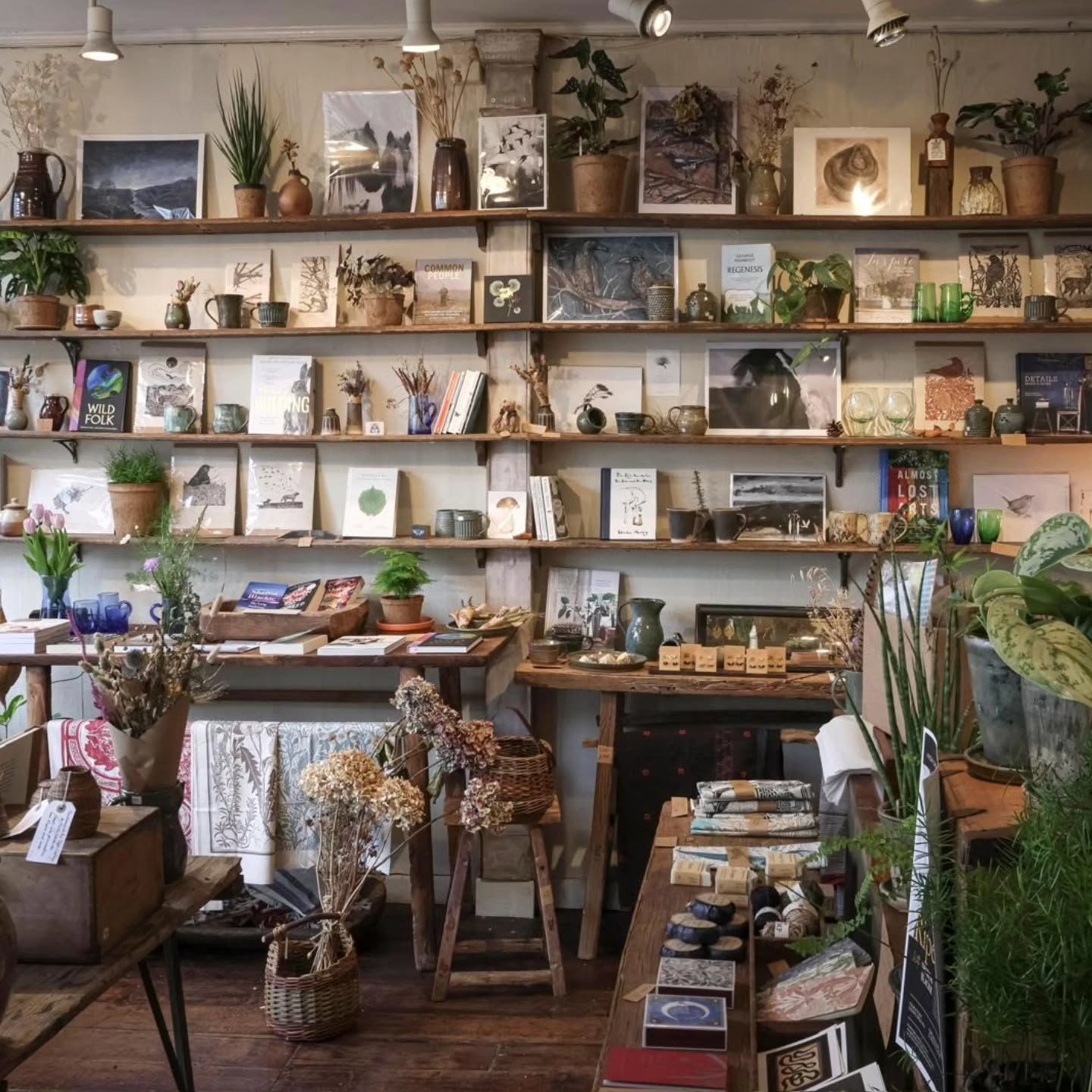 Wooden shelves filled with ceramics, illustrated prints, books, plants and handmade gifts inside Craftmongers in Ashburton