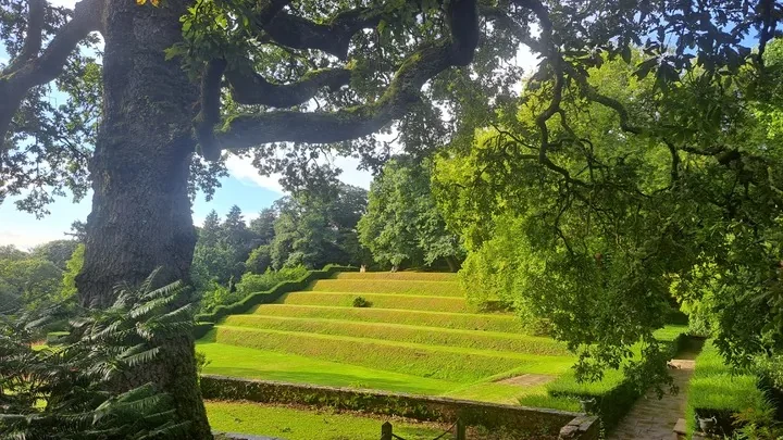 Terraced garden lawns framed by mature trees