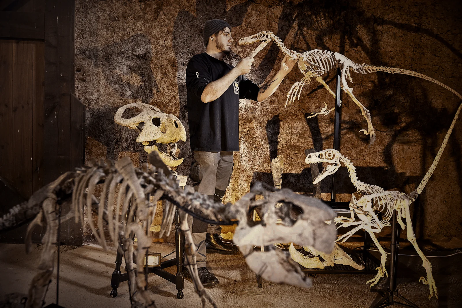 Dinosaur skeleton replicas arranged around Alex in a stone-walled workshop
