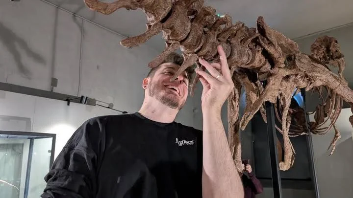 Maker working beneath a large dinosaur skull reconstruction