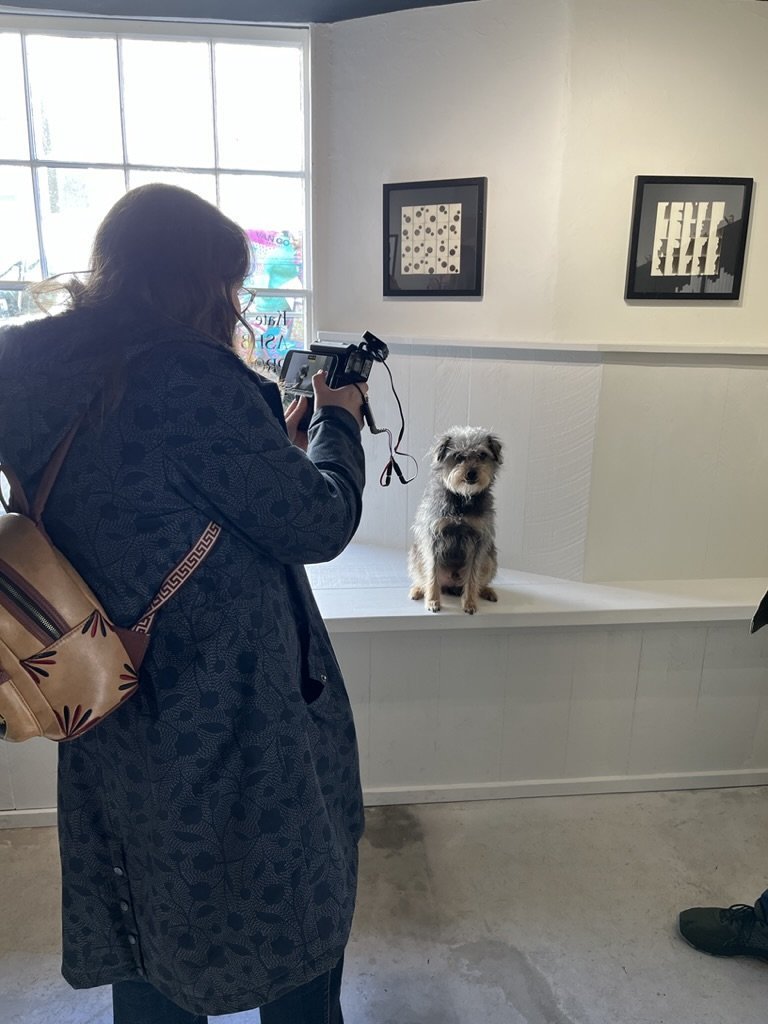 Visitors viewing artwork inside Field System gallery