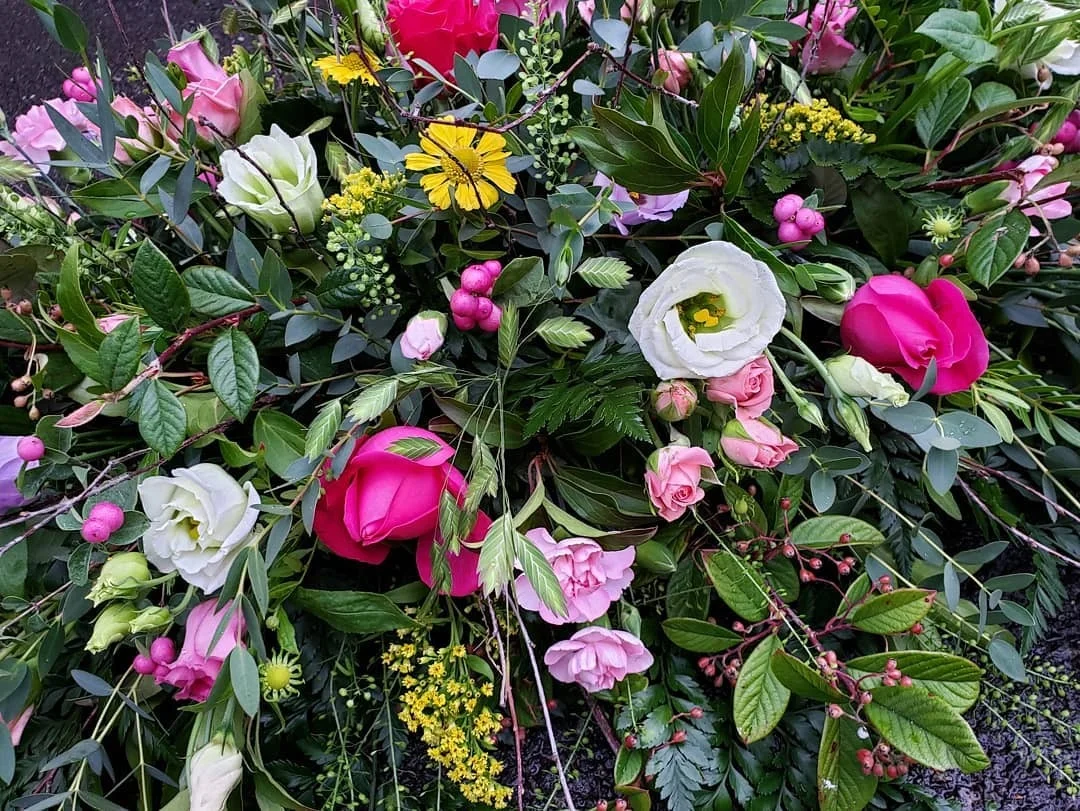 Pink and white flowers with abundant green foliage