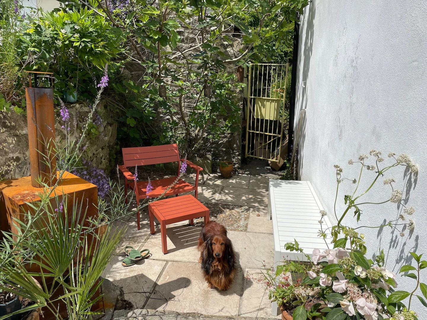 Red chairs in a leafy courtyard