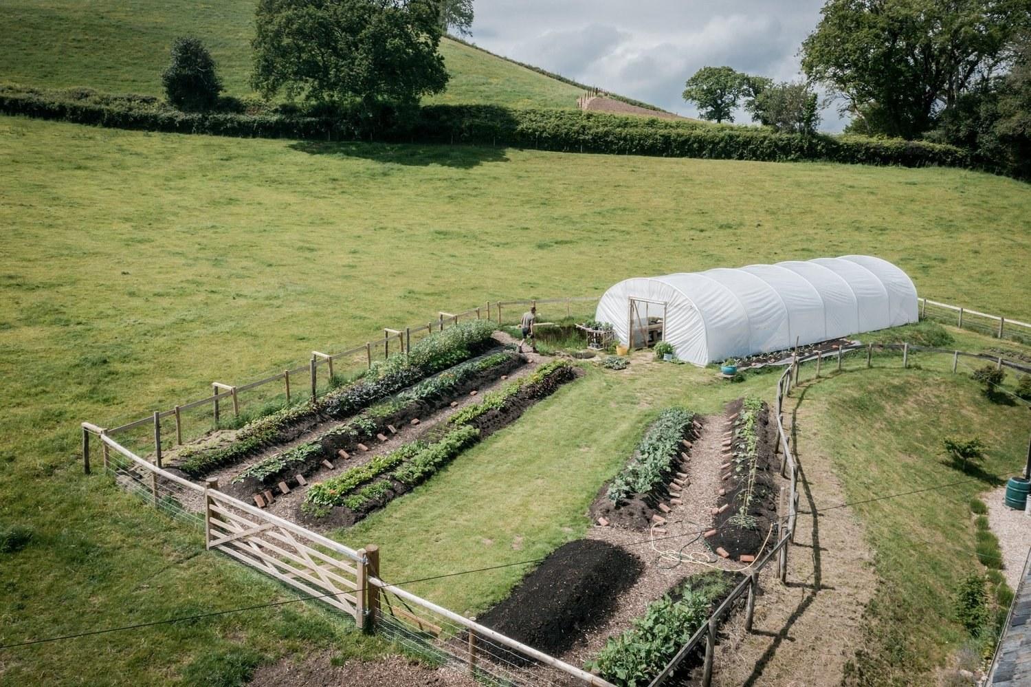 Rows of vegetables and a polytunnel in Glebe House kitchen garden