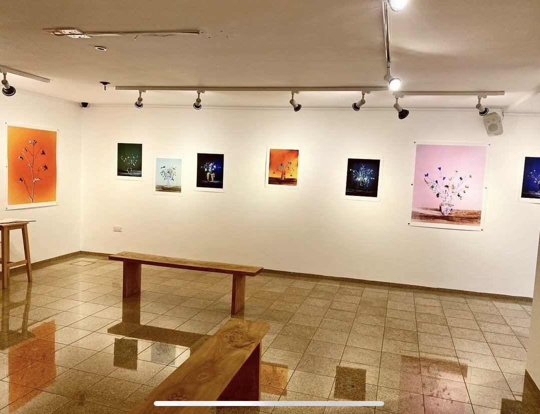 Artworks displayed in the bright Green Hill Arts gallery