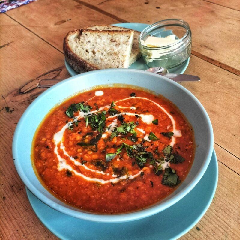 Soup and bread served at hand:plant