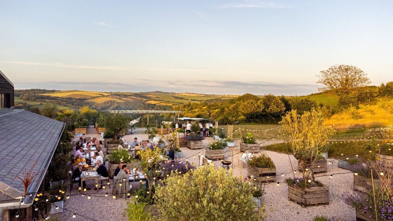 Guests dining among planters and festoon lights in the Heron Valley courtyard at sunset