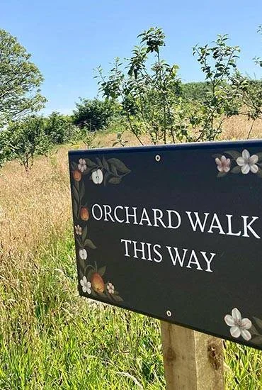 An orchard walk sign among grasses and trees at Heron Valley