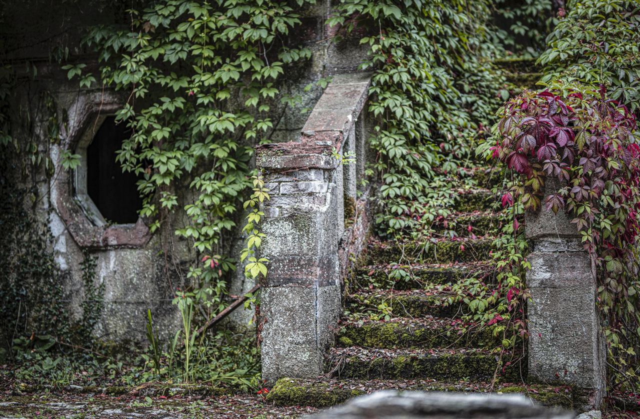 Weathered stone doorway and stairs at Great Ambrook