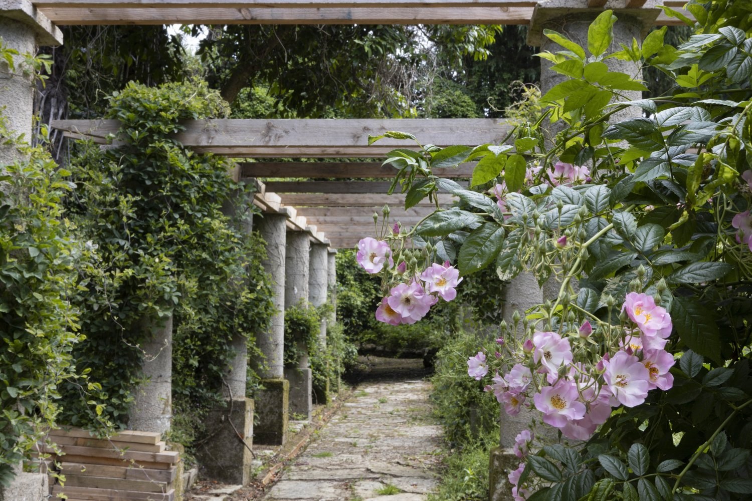 Stone pergola columns and a sunlit garden path at Great Ambrook