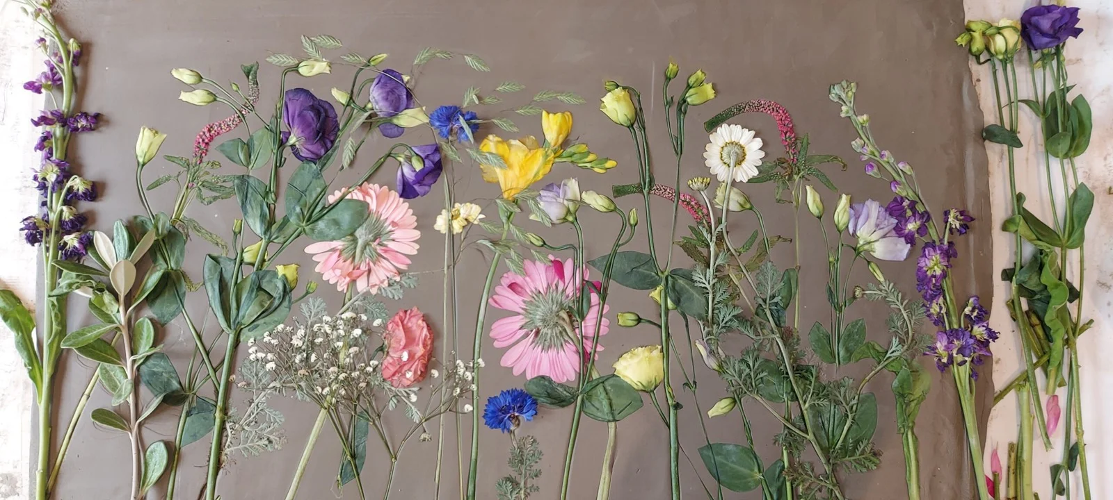 Flowers arranged across clay for a botanical casting