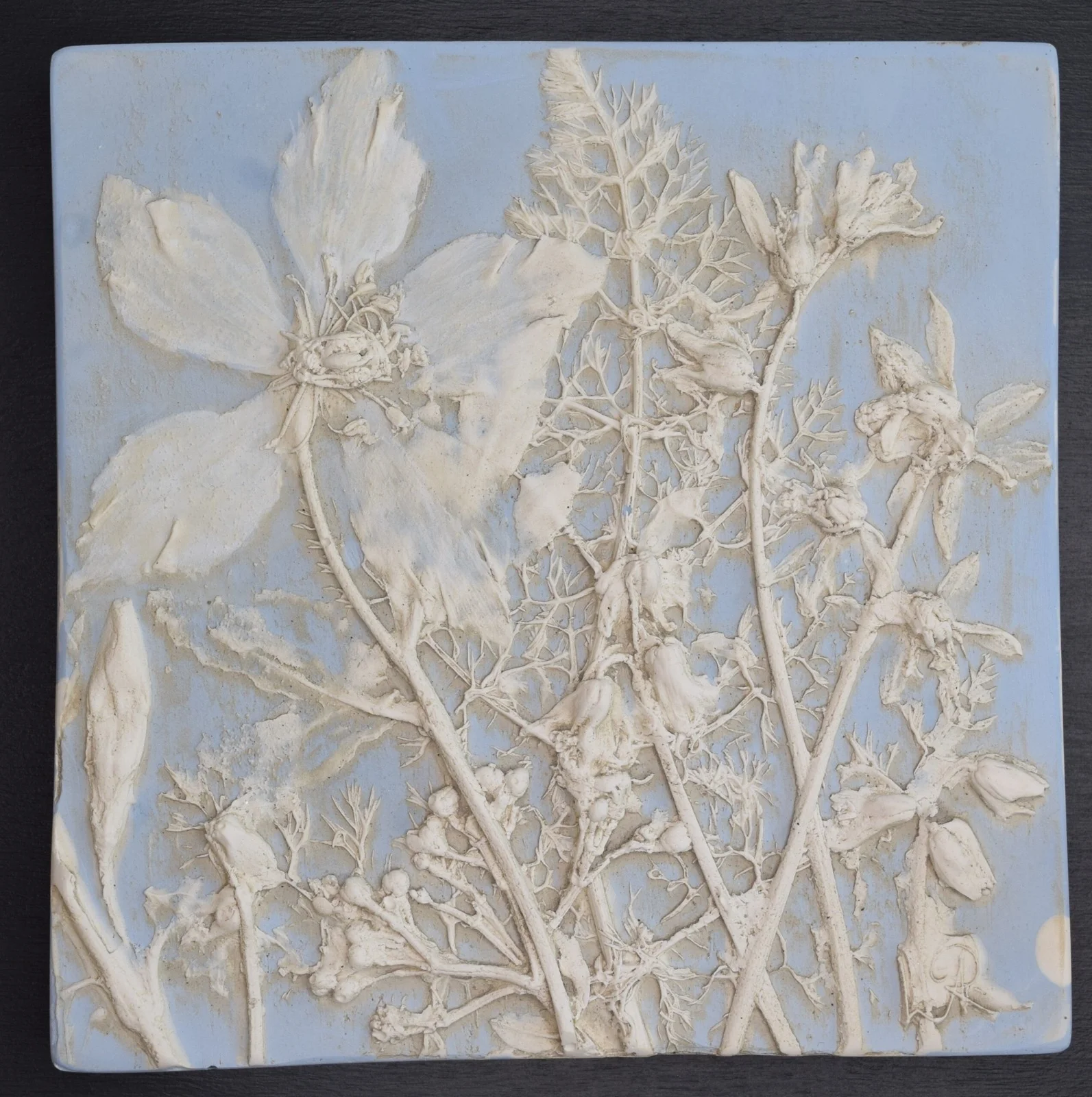 Pale botanical forms against a soft blue background