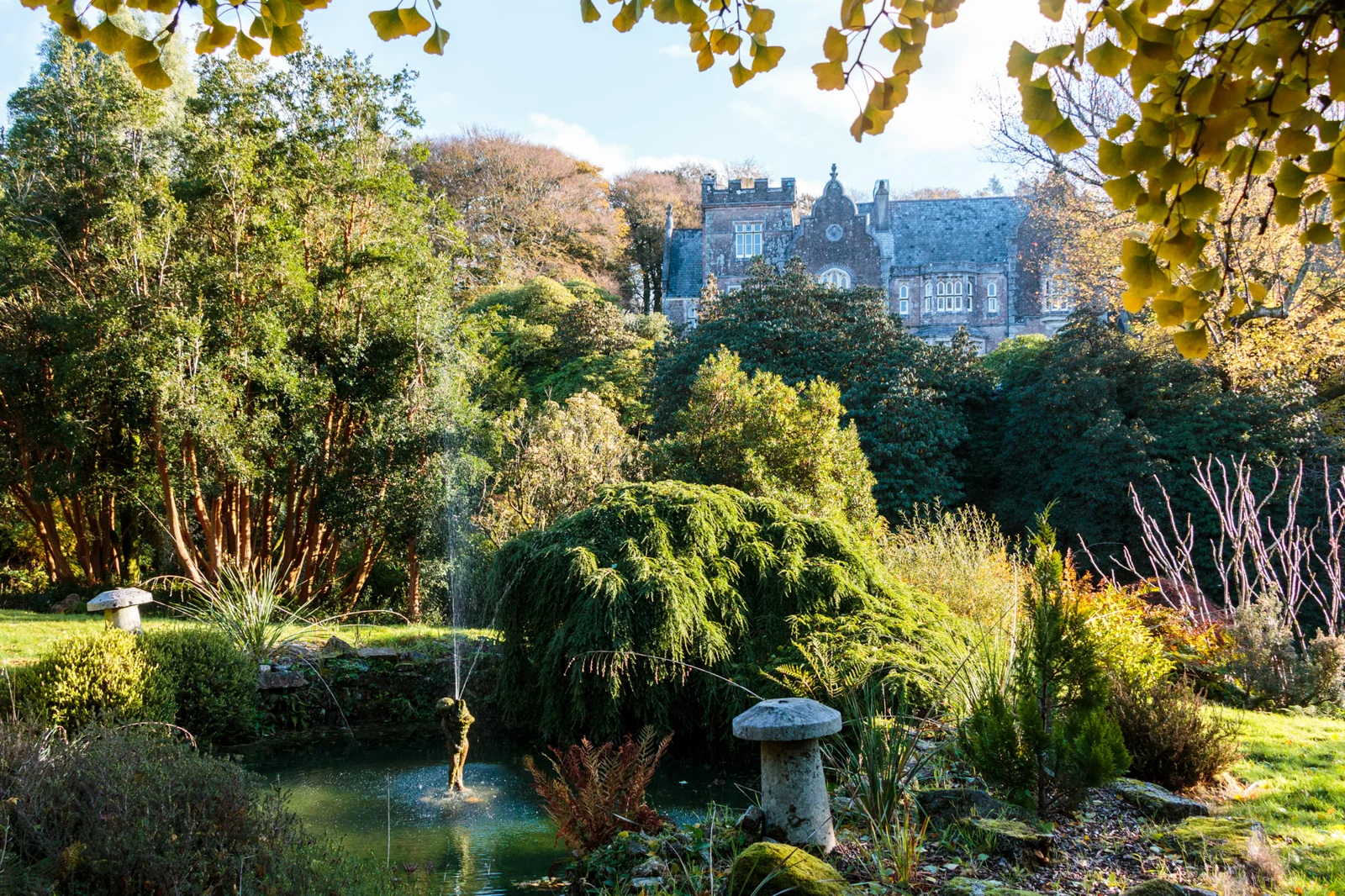 Lukesland House seen beyond autumn trees and a garden pond
