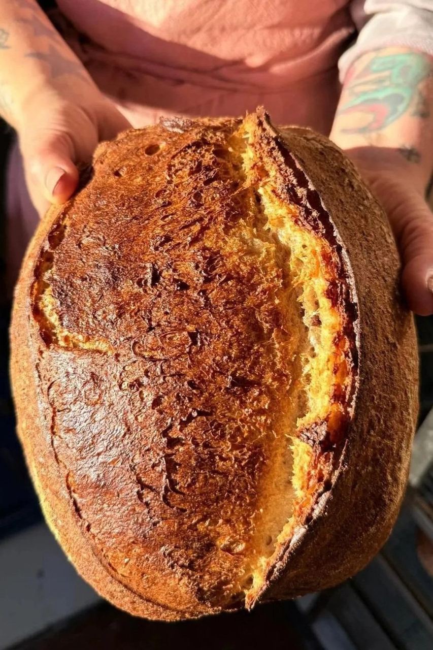 A baker holding a deeply baked sourdough loaf at Luna’s