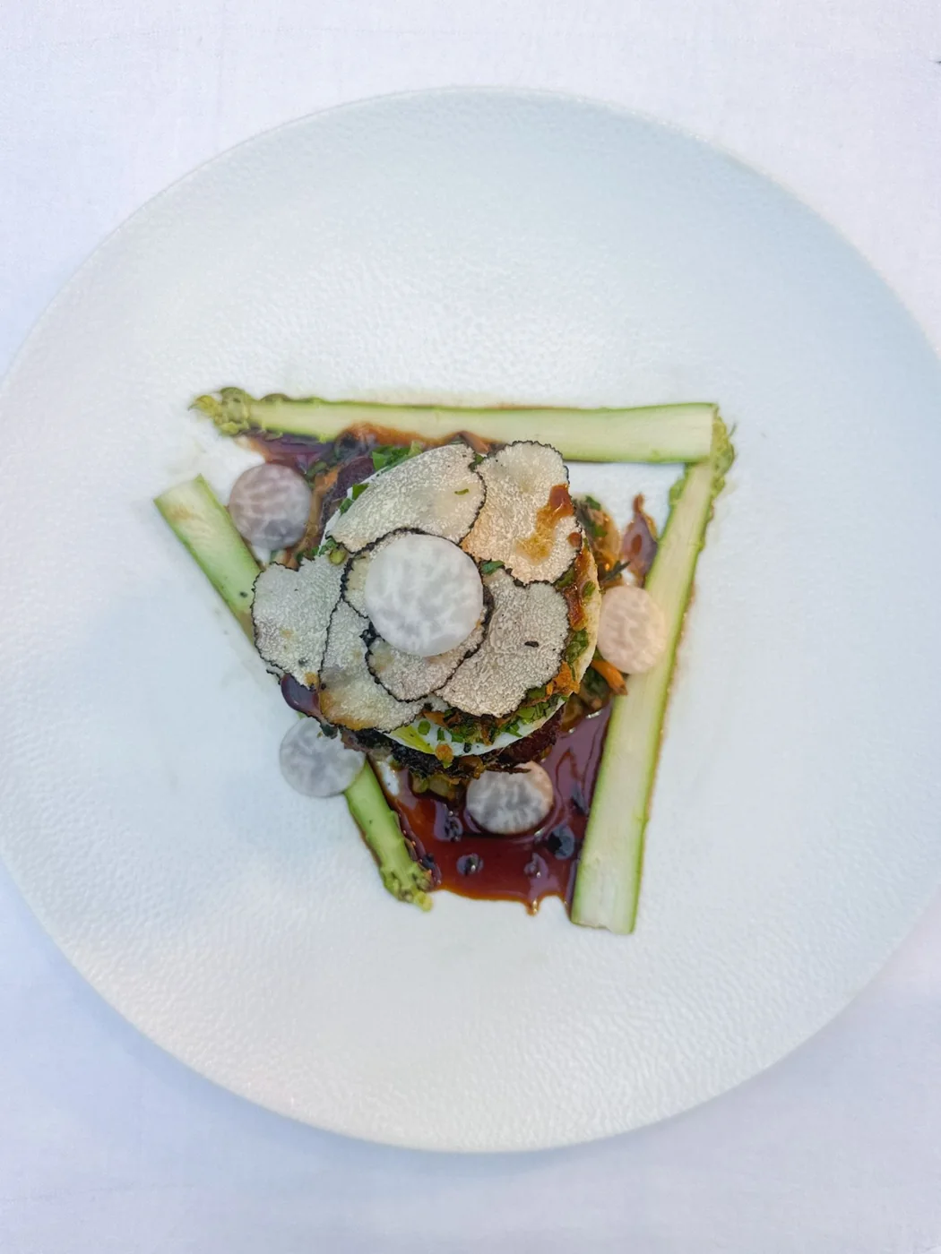 A plated beef dish with shaved truffle