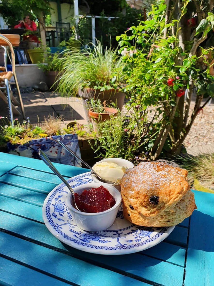 A scone with jam and cream on a blue table in the leafy garden