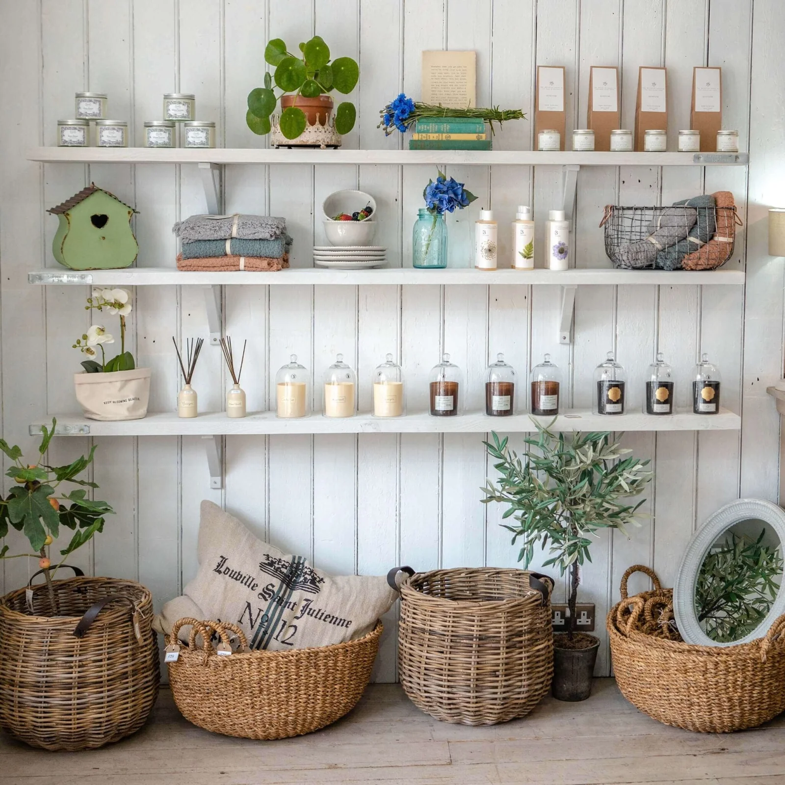 White shelves displaying ceramics, plants, baskets and homewares