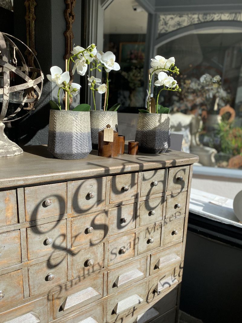 An old wooden shop counter with Odds & Suds lettering and potted orchids