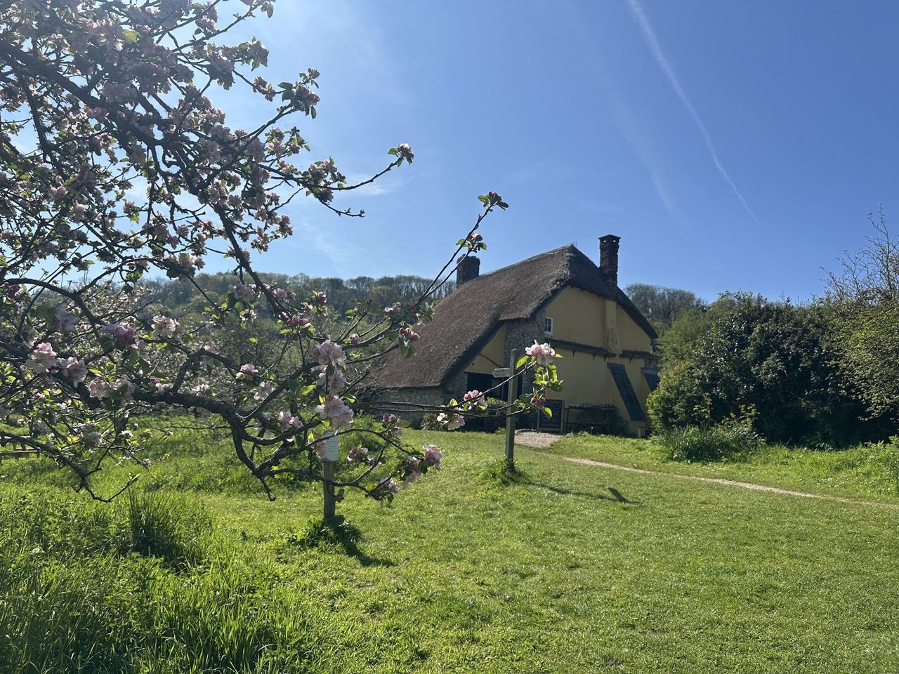 Thatched Old Bakery viewed through its garden at Branscombe