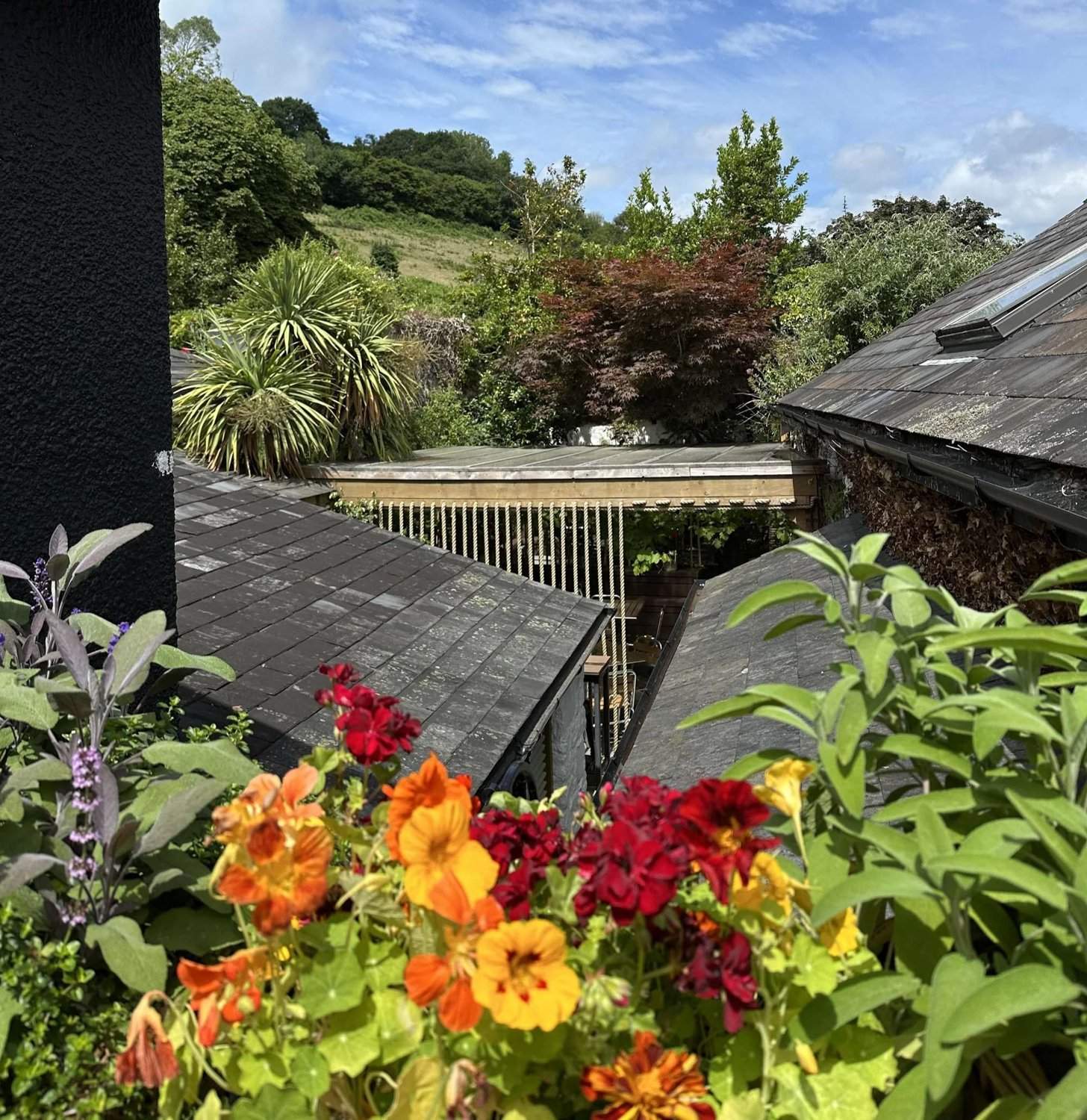 Flowers in the Old Exeter Inn garden beneath wooded hills