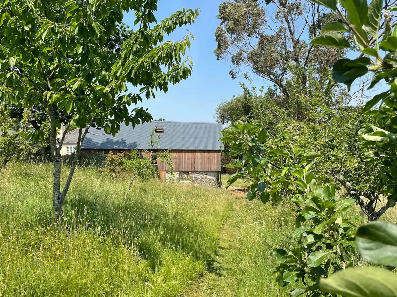 Path through the orchard towards the barn