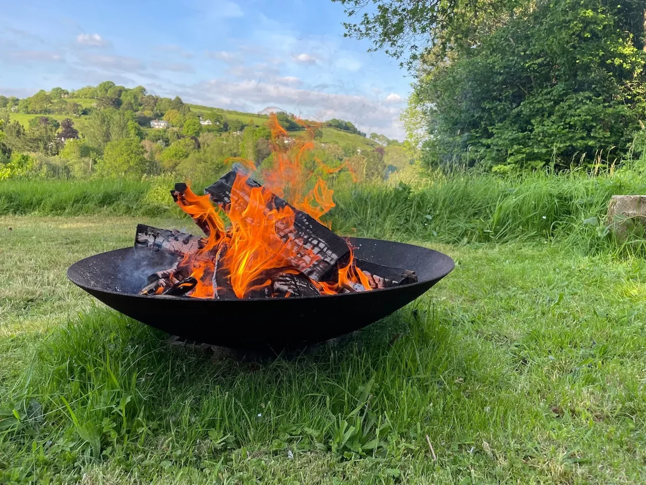 Firepit overlooking the meadow