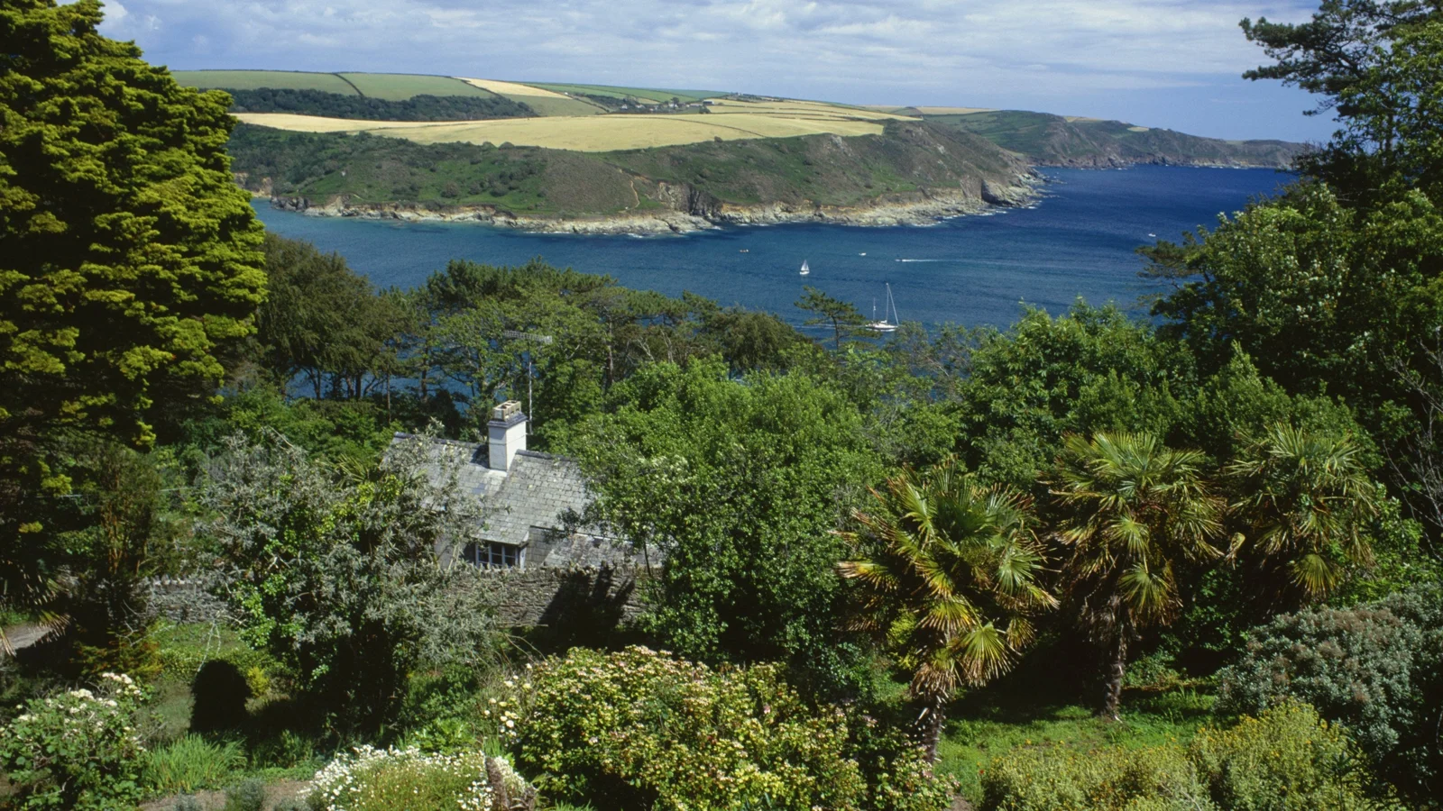 Lush trees and terraced planting above the Salcombe estuary