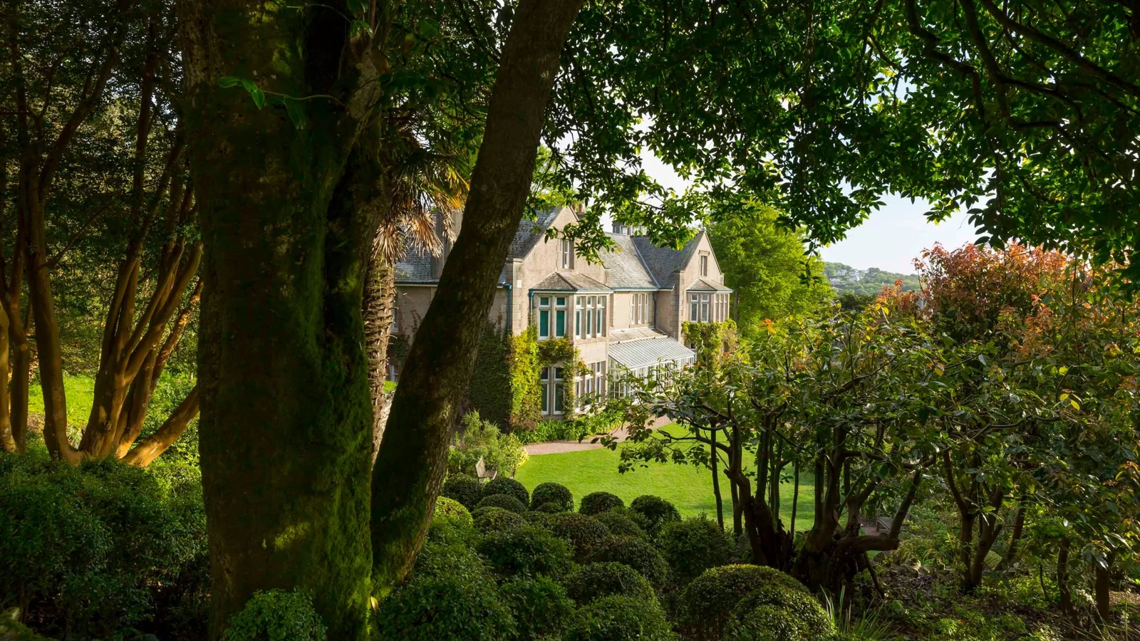 The house seen through mature garden trees