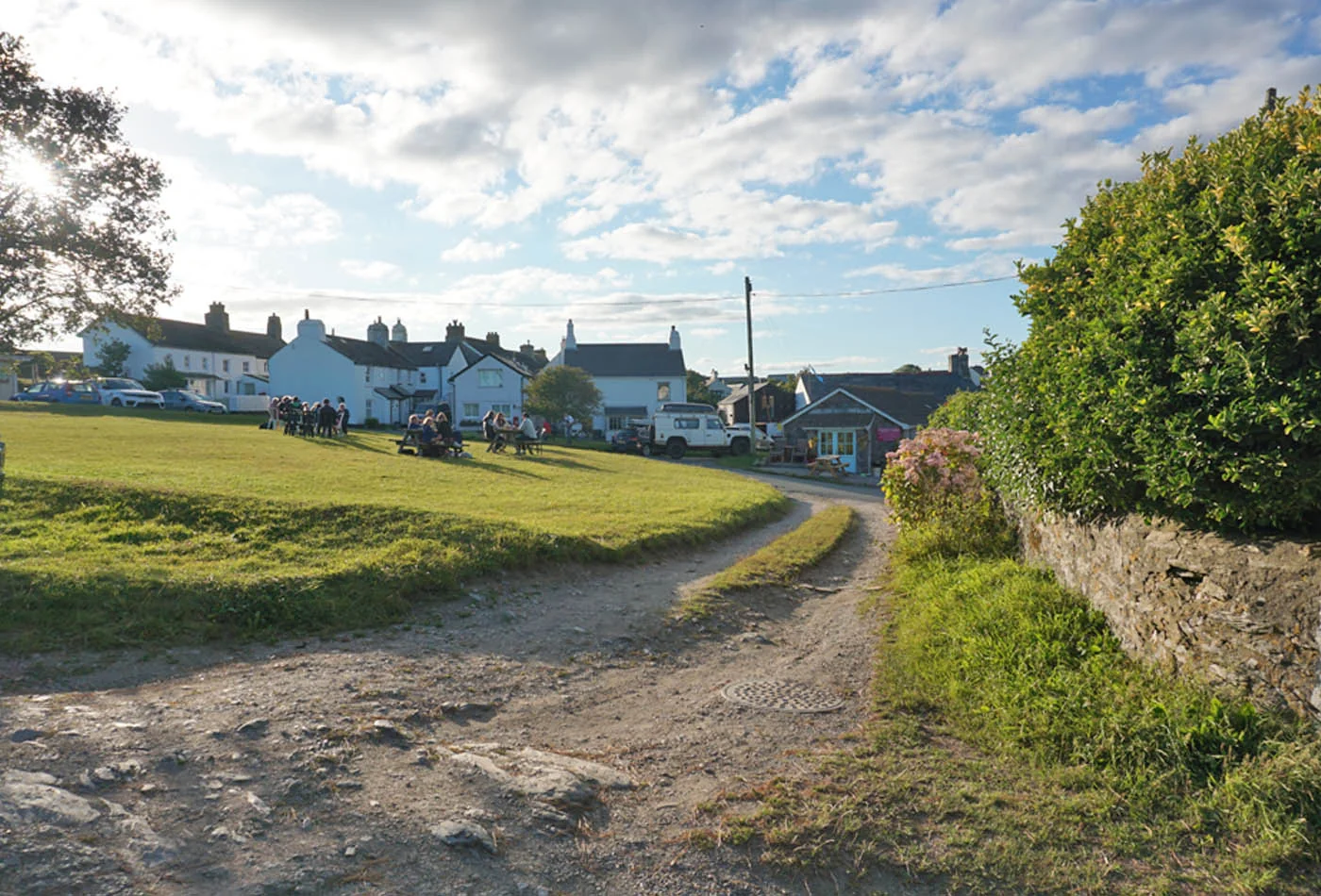 Track and grass leading towards cottages around East Prawle village green