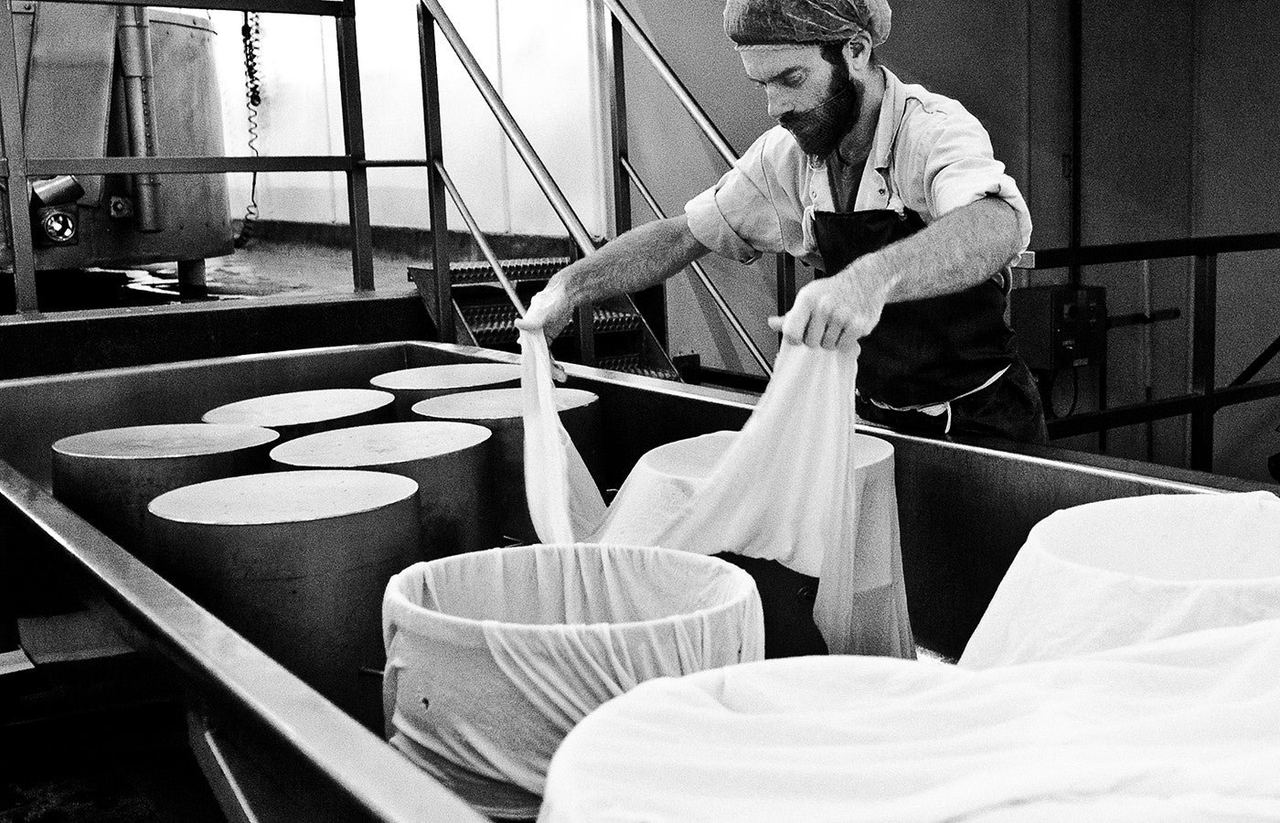 A cheesemaker working with clothbound cheese at Quicke’s