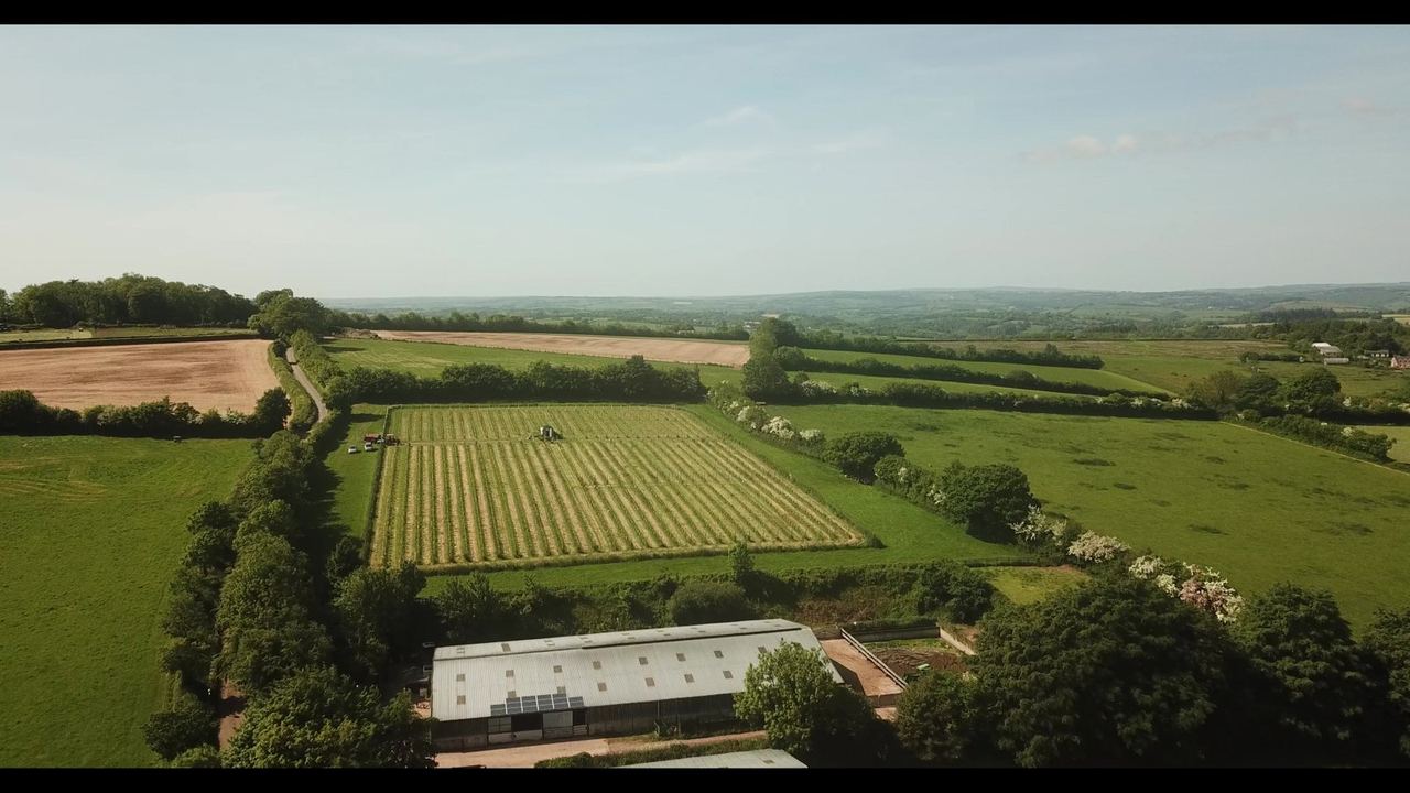 Aerial view of Quoit-at-Cross Vineyard and surrounding fields